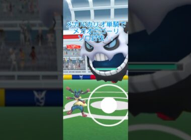 メガオニゴーリソロ討伐！