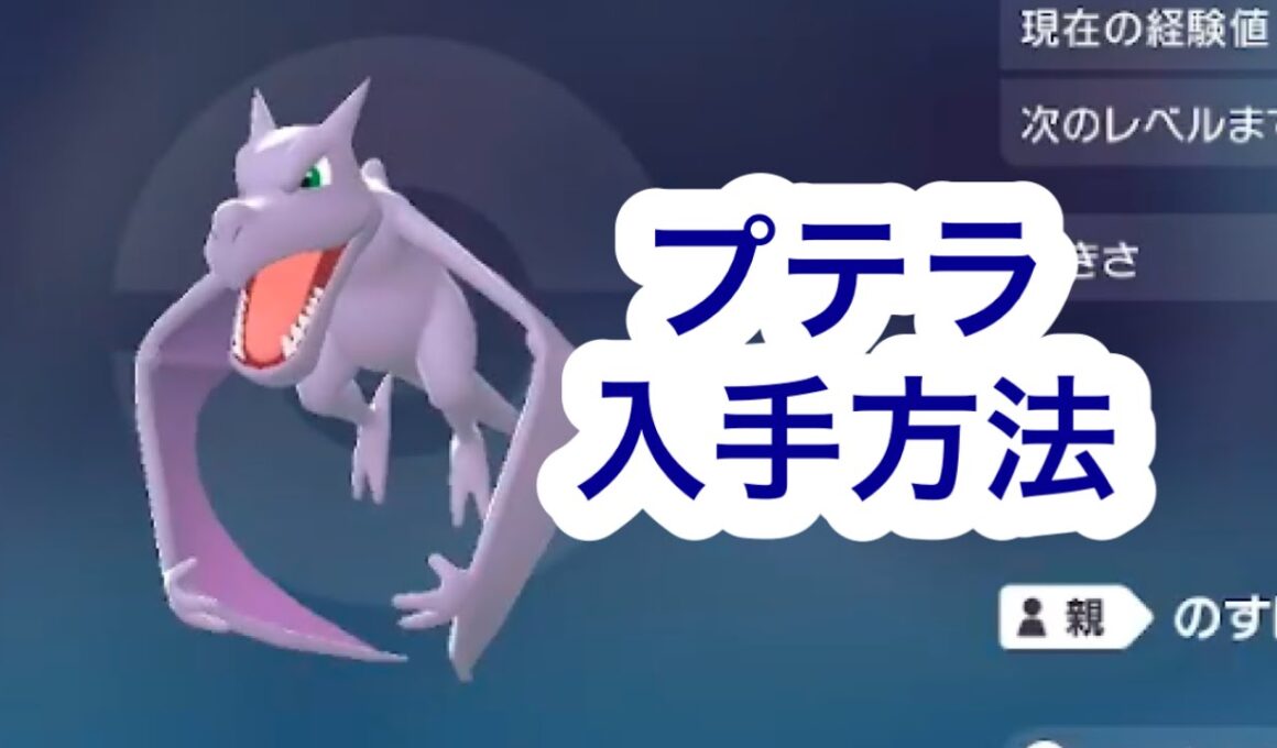【ポケモンZA】プテラ入手方法