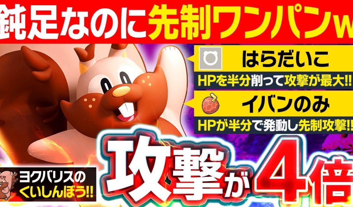 【抽選パ】はらだいこ"した後に先制でワンパンするヨクバリスのコンボがヤバすぎる #63-2【ポケモンSV/ポケモンスカーレットバイオレット】