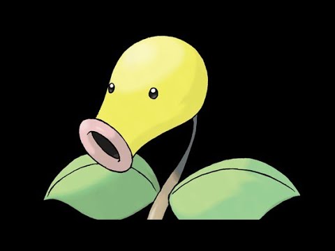 マダツボミ