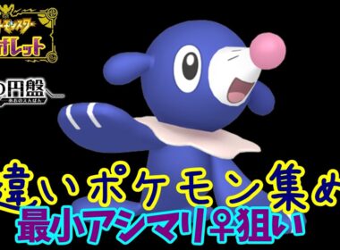 【ポケモンSV】最小色アシマリ♀狙いで色厳選する10【ライブ配信】【実況プレイ】【ポケモンヴァイオレット】【スカヴァイ】【藍の円盤】
