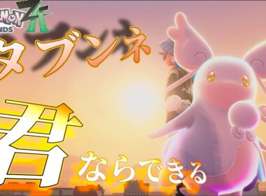 【Z-A】タブンネは戦えます。