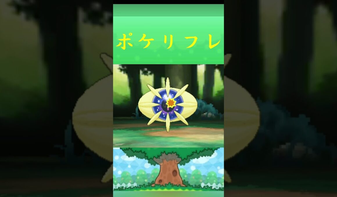 コスモウム*ポケモン ポケリフレ ポケパルレ #ポケモン #Pokemon  #3DS #nintendoswitch #ポケモンsv #ポケモン #キャンプ #カレー #サンドイッチ #ピクニック