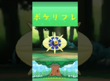 コスモウム*ポケモン ポケリフレ ポケパルレ #ポケモン #Pokemon  #3DS #nintendoswitch #ポケモンsv #ポケモン #キャンプ #カレー #サンドイッチ #ピクニック