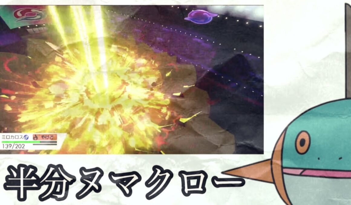 【またやった】泥酔のポケモンバトル。現れる半分ヌマクロー。