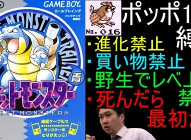【世界最難関縛り】ポケモン初代 ポッポ1匹で全クリ目指す配信 2日目【人生縛り】