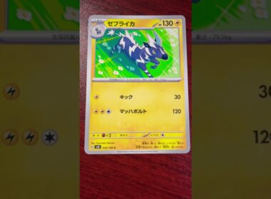 有馬記念に出場したゼブライカ#ポケカ