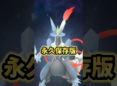 【警告】⚠️落とし穴注意⚠️これ絶対やるな！永久保存版。最強のブラックキュレム、ホワイトキュレムレイド復刻の際に絶対に気をつけて欲しいポイントと注意点を解説【ポケモンGO】#ポケモンGO #島名なまし