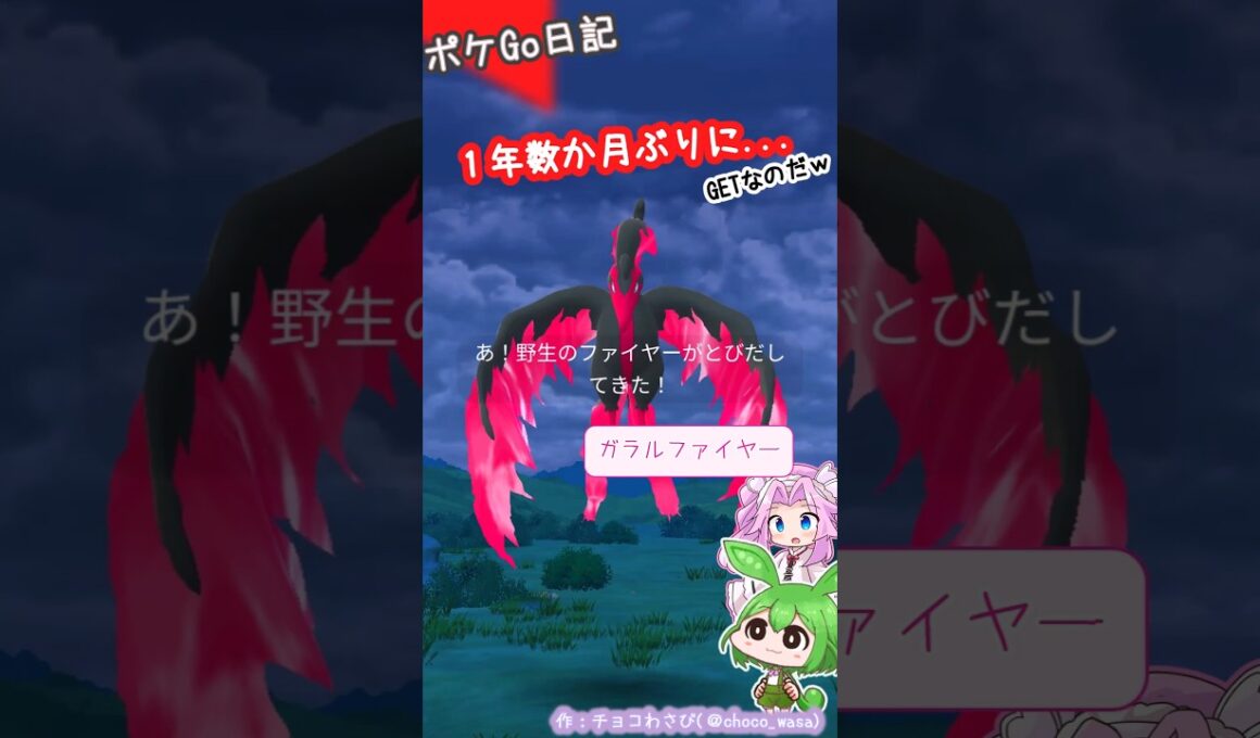 【ポケGO日記】ガラルファイヤーに遭遇!?こんどこそっ！なのだ🫛