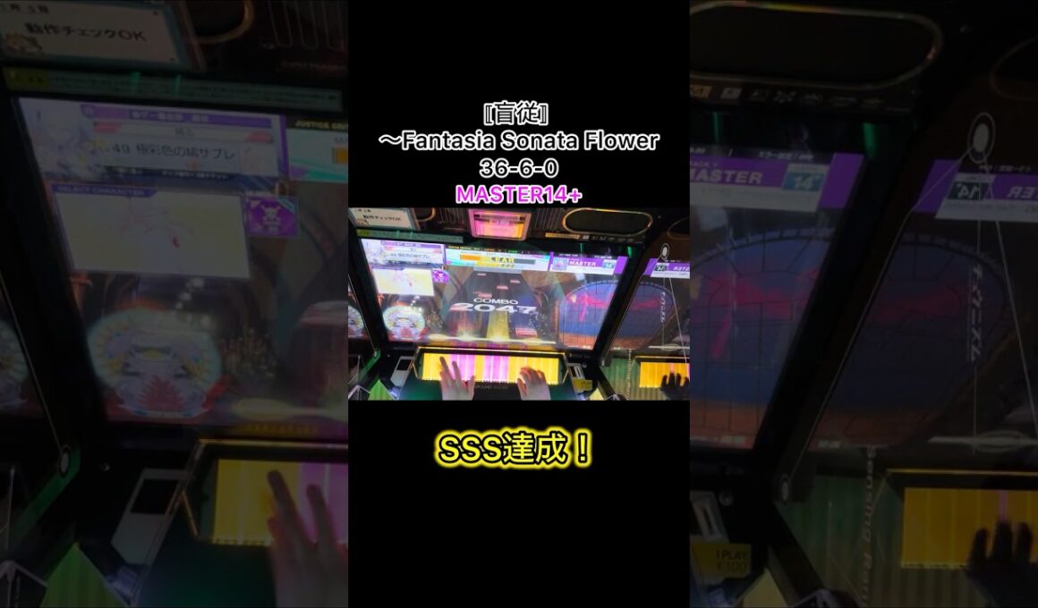 【CHUNITHM】〚盲従〛 ～Fantasia Sonata Flower SSS達成！小粒鍵盤が楽しい！