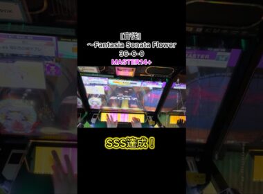 【CHUNITHM】〚盲従〛 ～Fantasia Sonata Flower SSS達成！小粒鍵盤が楽しい！