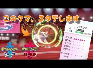 マッスグマの可能性を探る【ポケモン剣盾】