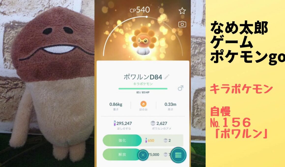 なめ太郎のキラポケモン自慢コーナーナンバー１５６、「ポワルン」【ポケモンgo】