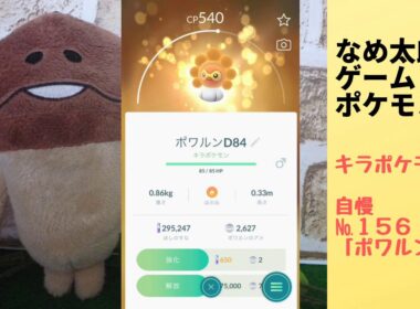 なめ太郎のキラポケモン自慢コーナーナンバー１５６、「ポワルン」【ポケモンgo】