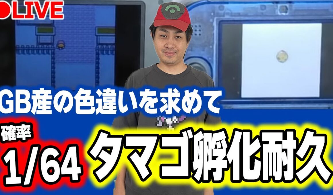 【ポケモン金銀VC】ヒトカゲとワニノコの色違いを同時に狙う(ずっと色違いでてなかったけど運悪いだけでした)【色違い厳選】