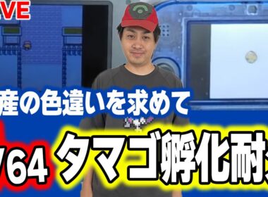 【ポケモン金銀VC】ヒトカゲとワニノコの色違いを同時に狙う(ずっと色違いでてなかったけど運悪いだけでした)【色違い厳選】
