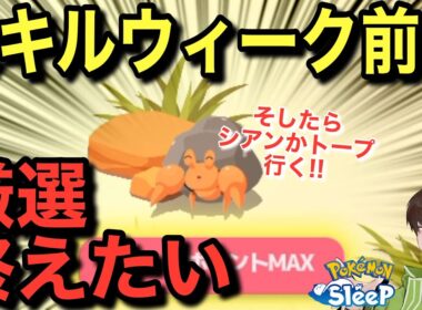 アンバー行くかはイシズマイ次第🤔【ポケモンスリープ】無課金リサーチ905/890日目