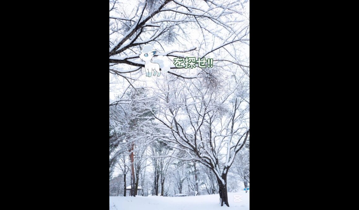 アローラロコンを探せ!!中級!!#ポケモン #shorts #ポケモンクイズ