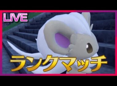 1月15日なのでS115のチラチーノで暴れたいランクマ【ポケモンSV】