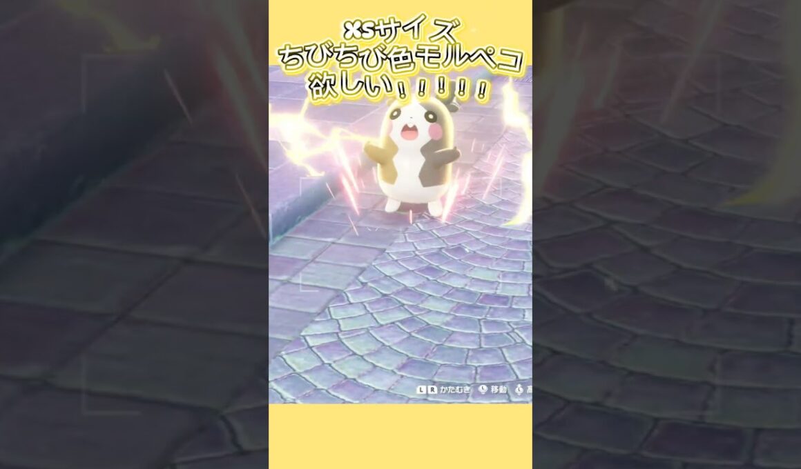 ちっさい色モルペコ欲しい！【ポケモンレジェンズZA/M次元ラッシュ】