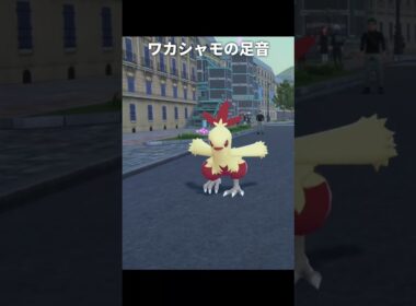【ポケモンZA】バシャーモ達の足音が最高に素敵な理由【ポケモンレジェンズZA】