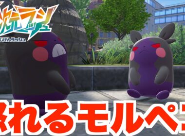 【ポケモンZA】モルペコの戦い！とある男の推理とは？【DLC「M次元ラッシュ」】