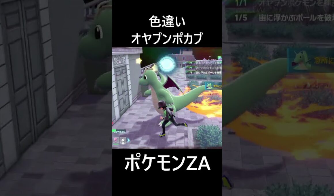 色違いオヤブンポカブ ポケモンレジェンズZA M次元ラッシュ Pokémon LEGENDS Z-A Mega Dimension #shorts #ポケモン