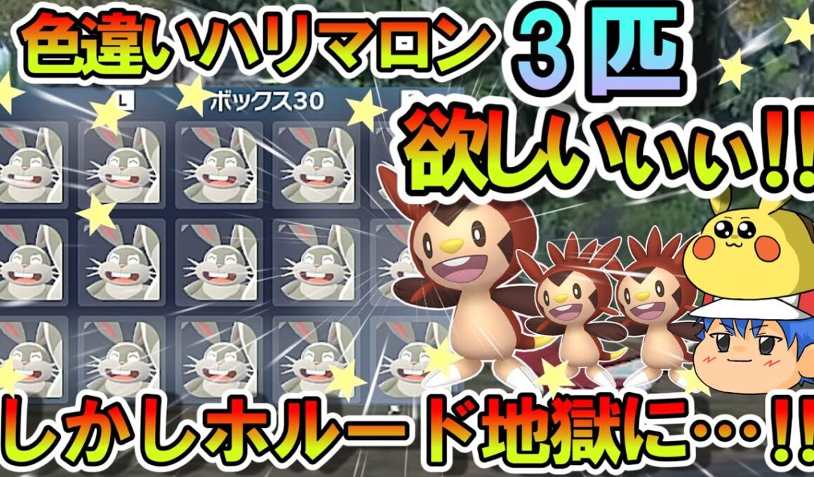 【ポケモンZA】色違いハリマロン3匹を狙った結果…‼色違いホルード祭りと化してしまう‼【ゆっくり解説】