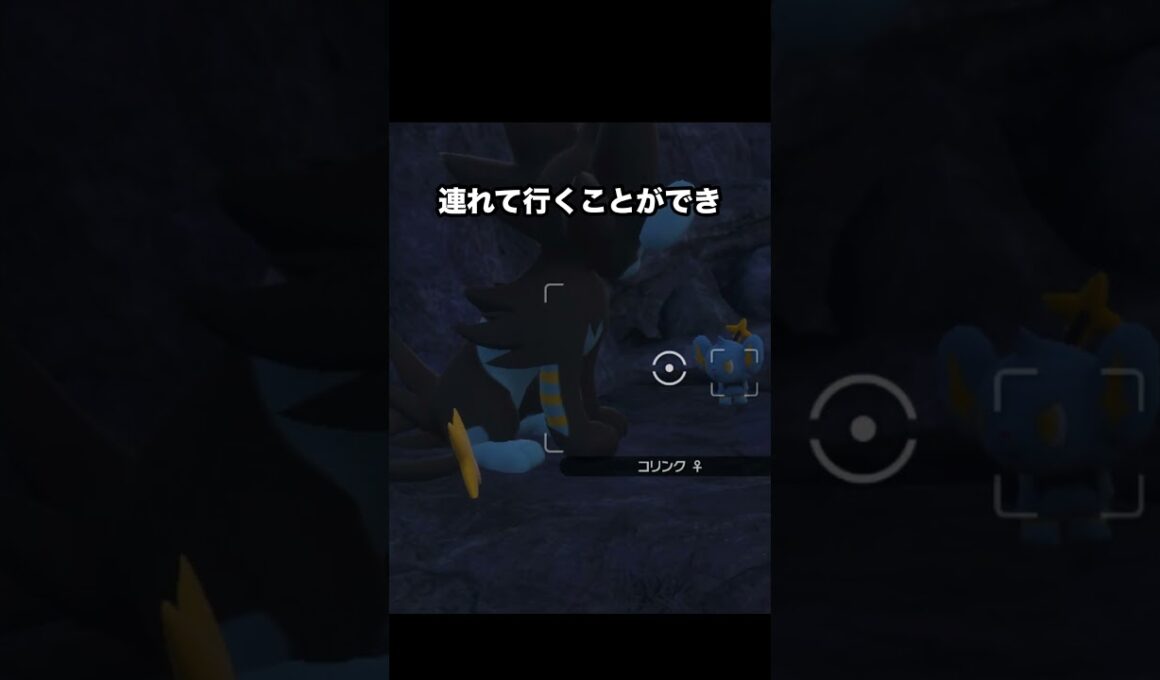 【家族愛】再会して安心するレントラー親子#ポケモン #newポケモンスナップ