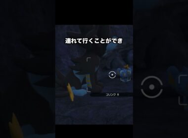 【家族愛】再会して安心するレントラー親子#ポケモン #newポケモンスナップ