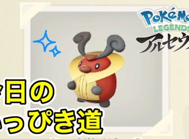 【Pokémon LEGENDS アルセウス】今日のいっぴき道（コロボーシ）【NS】