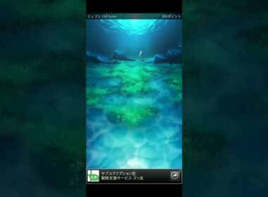 ジュゴン1日目