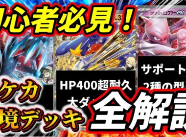 【初心者必見！】ポケカ環境デッキ解説シリーズ第二弾！【ロケット団デッキ / Nのゾロアークex / シロナのガブリアスex】【ポケモンカード】