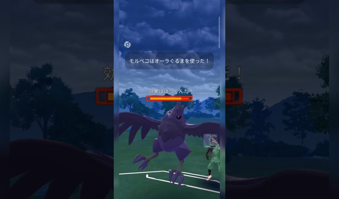 #これが通常モルペコの威力！#ポケモンgo #ポケモン #pokemongo