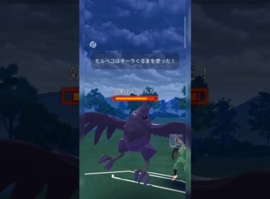 #これが通常モルペコの威力！#ポケモンgo #ポケモン #pokemongo