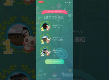 ポケモンGOパッチールお披露目1位1位2位リワード結果 #ポケモン #ポケモンgo #pokemongo
