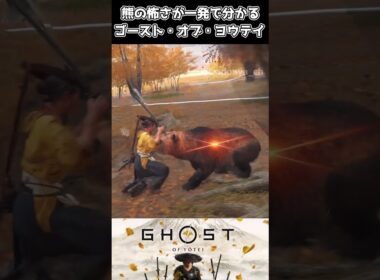 【ゴーストオブヨウテイ】熊の怖さが一発で分かるシーン【Ghost of Yōtei】