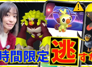 3時間限定をお忘れなく！！サルノリのコミュニティデイで追加ボーナス！？週末攻略ガイド！！【ポケモンGO】