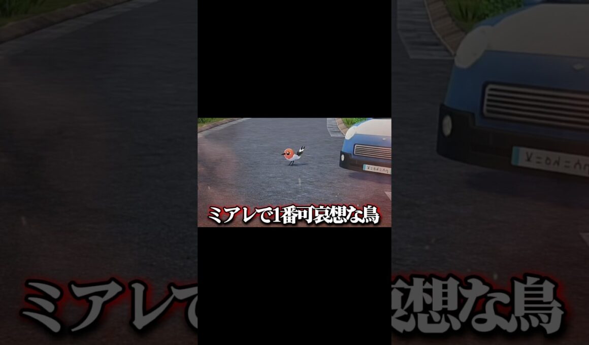 ヤヤコマ、怒っていいぞ。 #pokemonlegendsza #ポケモンza #shorts