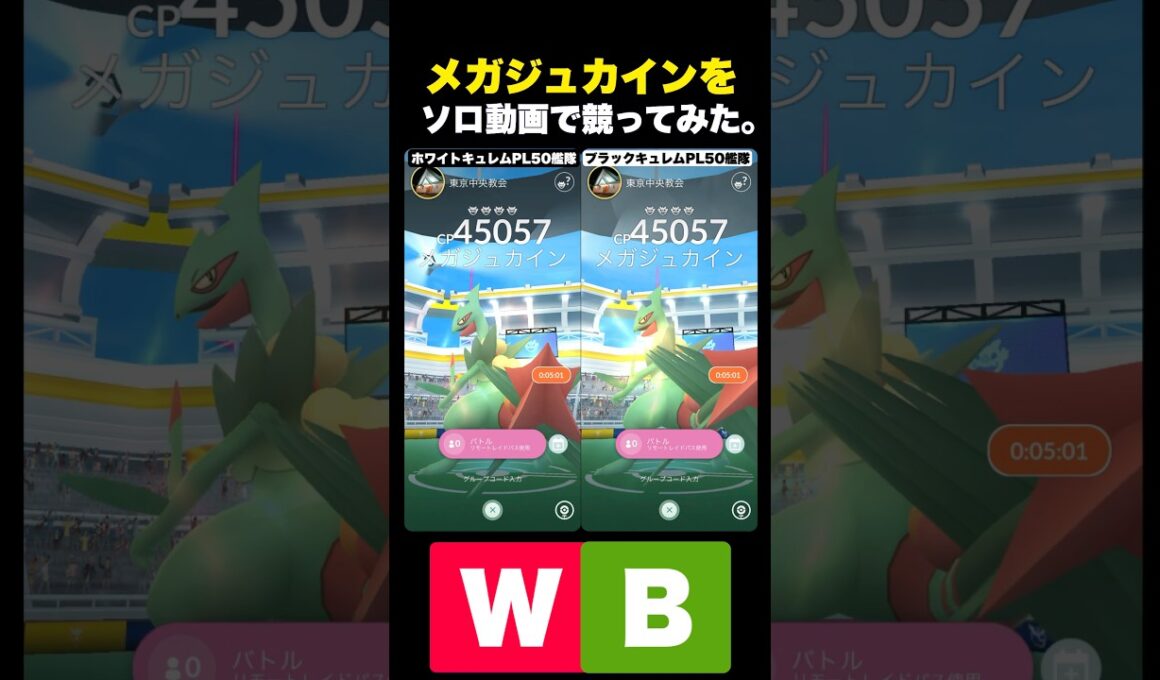 メガジュカイン1人討伐で競ってみた。