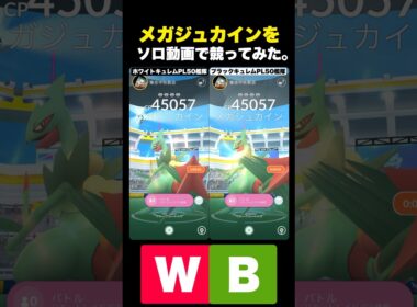 メガジュカイン1人討伐で競ってみた。