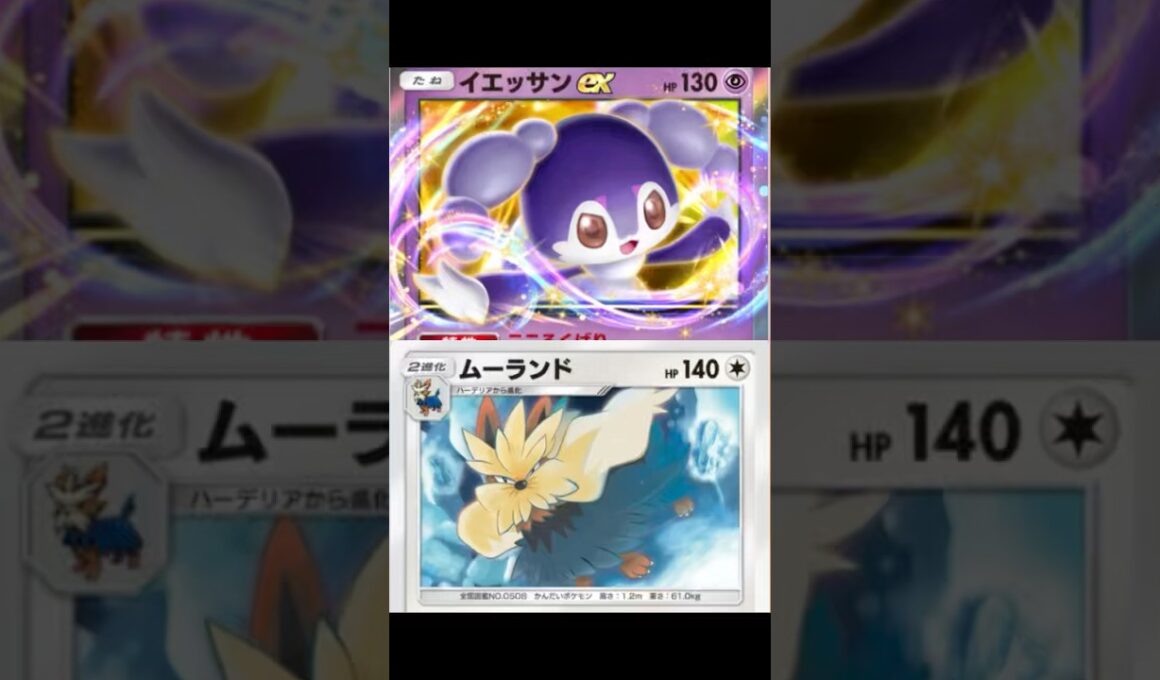 ムーランド✖︎イエッサン