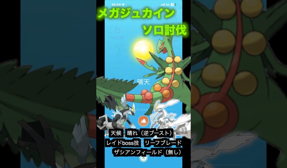 メガジュカインレイド(合体キュレムver)#pokemongo #メガジュカイン#キュレム #ポケモンgo