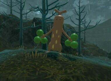 サブ任務26【ウソッキー】雨の日☔『ポケモンレジェンズアルセウス』