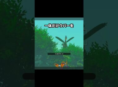 【可愛いは正義】空の旅を楽しむウパー #ポケモン #newポケモンスナップ