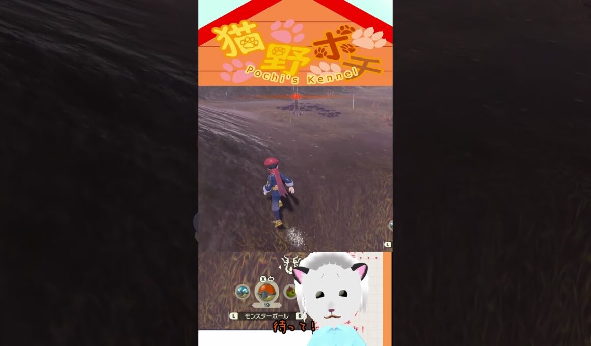 サイホーン落ち着け！サイホーン落ち着け！　#shorts  #short #新人vtuber #ポチの犬小屋 #ポケモン #レジェンズアルセウス #アルセウス #切り抜き