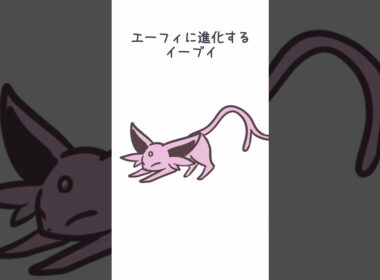 エーフィに進化するイーブイ＃イーブイ　＃エーフィ　＃ポケモン #pokemon #eevee #espion