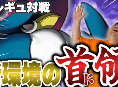 【ポケカ/新レギュ対戦】新環境の首領爆誕!!ロケット団を従えたドンカラスが止められない⁉【VSNのゾロアーク】