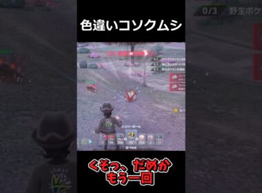 色違いコソクムシ発見!!色違いグソクムシャに進化させた結果!! #ポケモンレジェンズZA  #shorts #switch2 #M次元ラッシュ