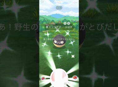 【Pokémon GO】 Shiny Voltorb GET✨